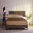 1800 Series Double-Brushed Microfiber Hypoallergenic Sheet Set-61322278-22057767
