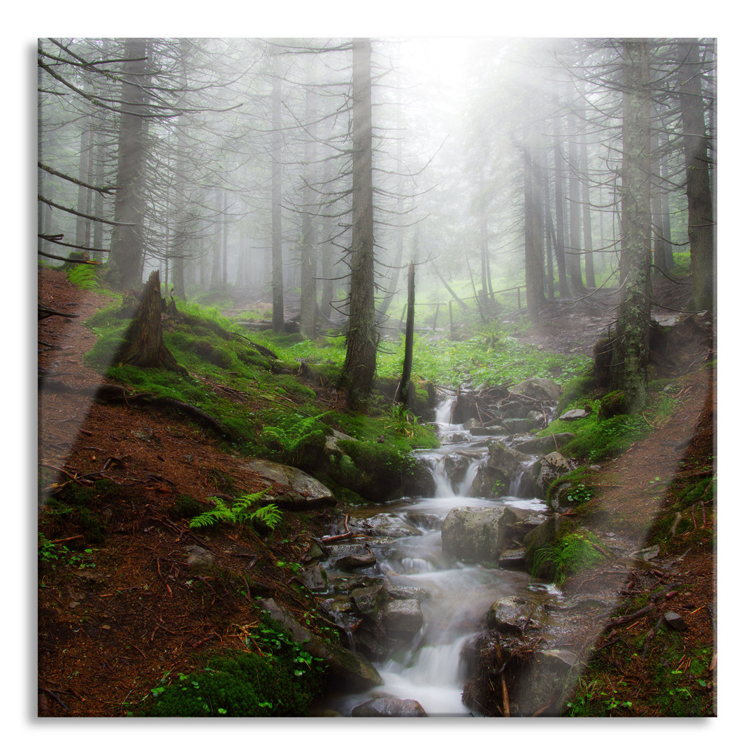 Glasbild Woodland Stream