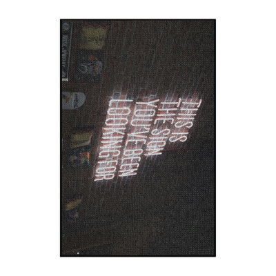 Indoor Rug