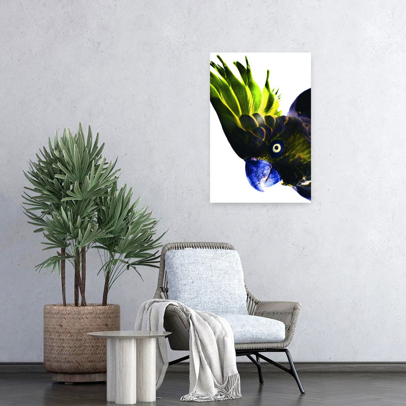 Art contemporain, art moderne oiseau tropical, H 24 po x l 16 po