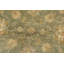 Tapis oriental traditionnel en laine vert noué à la main 6 pi 7 po x 6 pi Ziegler