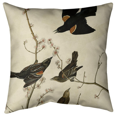 Housse et insert de coussin carré John James Audubon