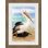 Summer Pelican 1 Painting