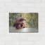 «Orangutan» par Debra Van Swearingen, art mural en métal-846433329