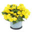 Begonias in Dotted Ceramic Pot-42062682