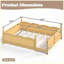 Lit grand format pour enfants Montessori avec garde-corps pleine longueur, à côté d'une bibliothèque, design enfantin, finition en bois naturel-130156401-130156403
