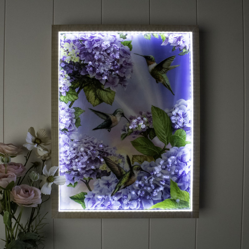 Colibri 12 po x 16 po