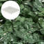 Ivy Balcony Privacy Fence Panel-1820369087-1820369085