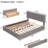 Classic Button-Tufted Upholstered Platform Bed with 2 Drawers and Trundle-1899688299