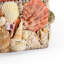 Shell Decorative Box