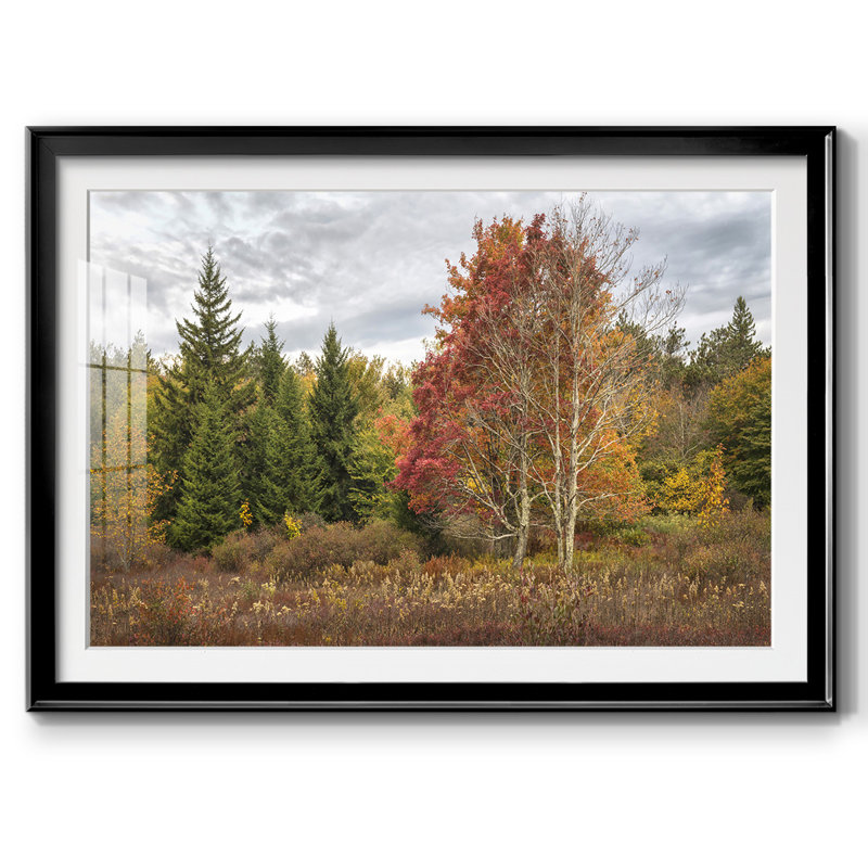 Woodland Variété, impression sur papier encadrée, H 19 po x l 27 po x P 1,5 po, Noir