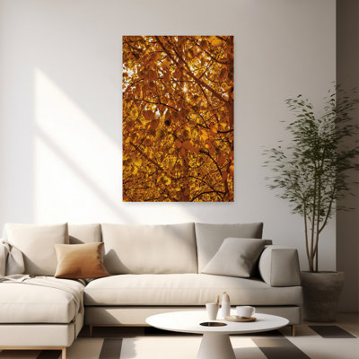 Guanella Pass Sunburst Abstract Contemporary Art