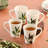 Olivia Set of 4 Mug 18 oz