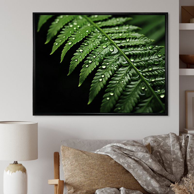 Ferns Serene Resilience - Imprimé, H 16 po x l 32 po x P 1 po, Cadre flottant noir