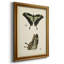 Butterfly Profile III - Peinture sur toile encadrée-2118965868