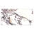 Touche 11-3/4 In. X 23-1/2 In. Porcelain Floor And Wall Tile