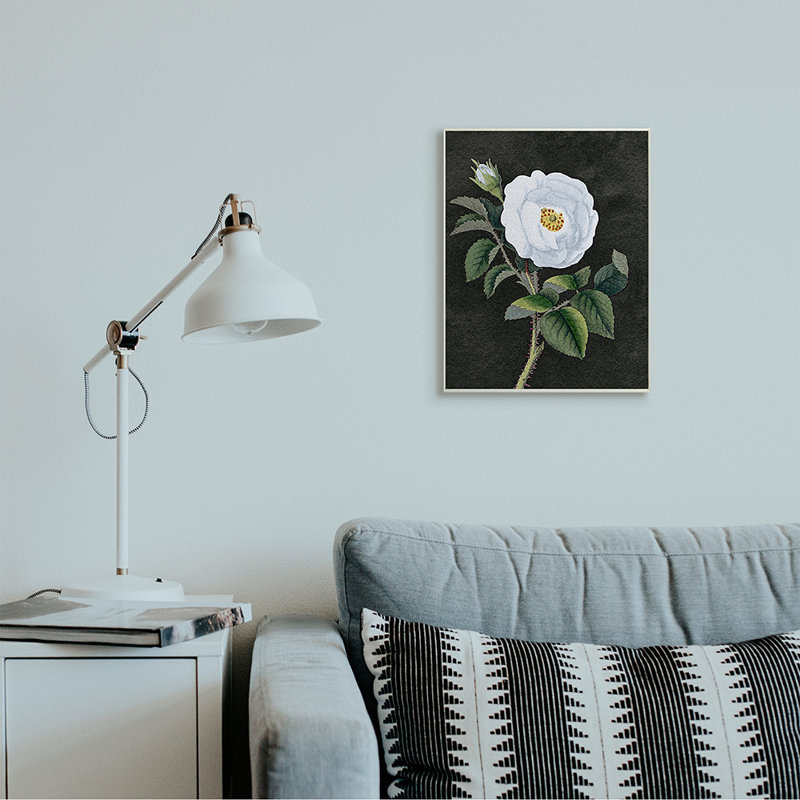 «White Poppy Illustration Vintage Flower Thorns» par Daphne Polselli - impression d'art graphique, Plaque murale