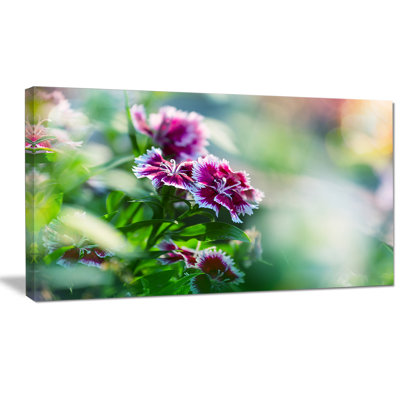 'Pink Flowers on Green Background' Photographic Print on Wrapped Canvas