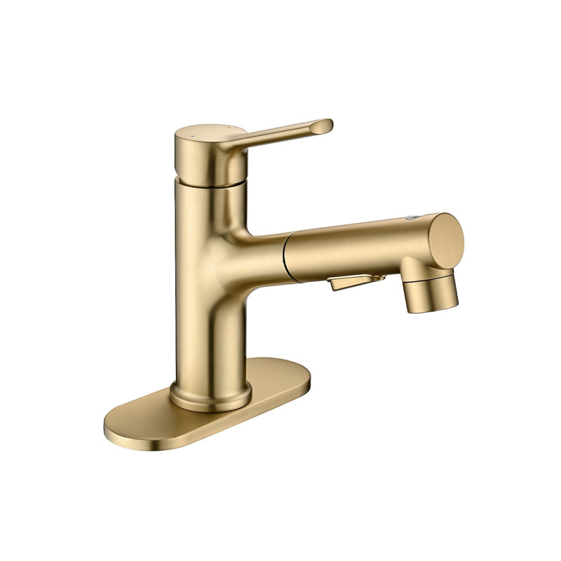 Robinet de lavabo de salle de bain avec douchette extractible, robinet de lavabo de salle de bain moderne à poignée simple avec bouchon de bonde escamotable et plaque de pont