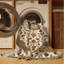 Machine Washable Tabriz Beige Area Rug-1256188999