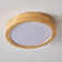 Kadeyn LED Flush Mount