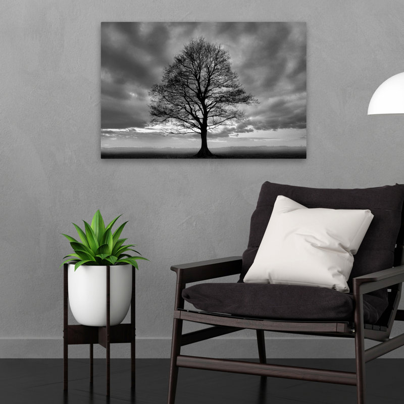 Grand arbre - paysages, photographie, levers et couchers de soleil, art, H 16 po x l 24 po