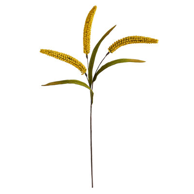 Sorghum Floral Stems