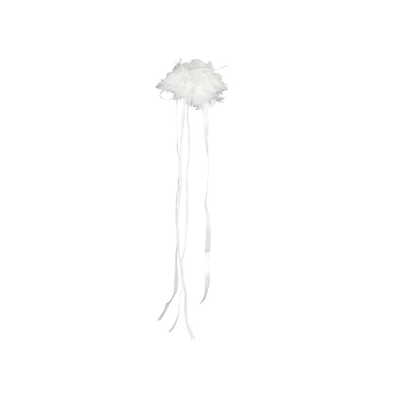 Corsage plumes, Blanc