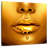 Shuttleworth Luscious Gold Lips-109400009