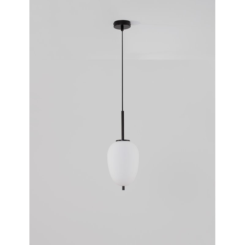 1 - Light Black Shaded Pendant