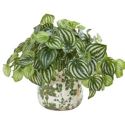 Plante de feuillage peperomia artificiel en vase décoratif en pastèque