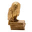 Harry Potter  Alumni Figurine Hedwig