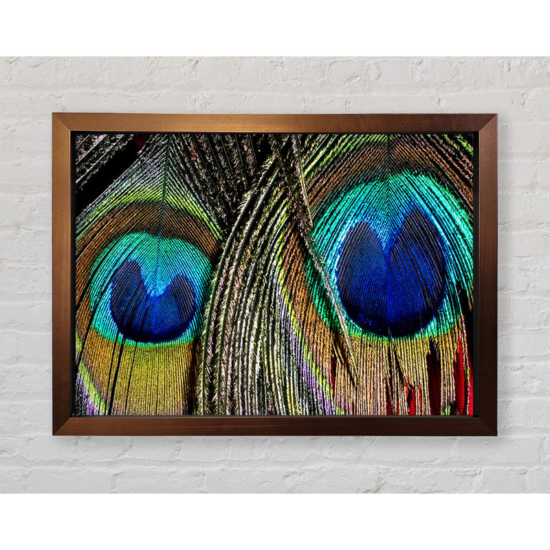 Peacock Feather Duo - Single Picture Frame Print, 59.7cm H x 84.1cm W