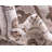 Emigdio Oriental Indoor Rug-1602670815