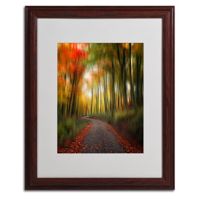 « the lost path » par philippe sainte-laudy,, reproduction de photo encadrée
