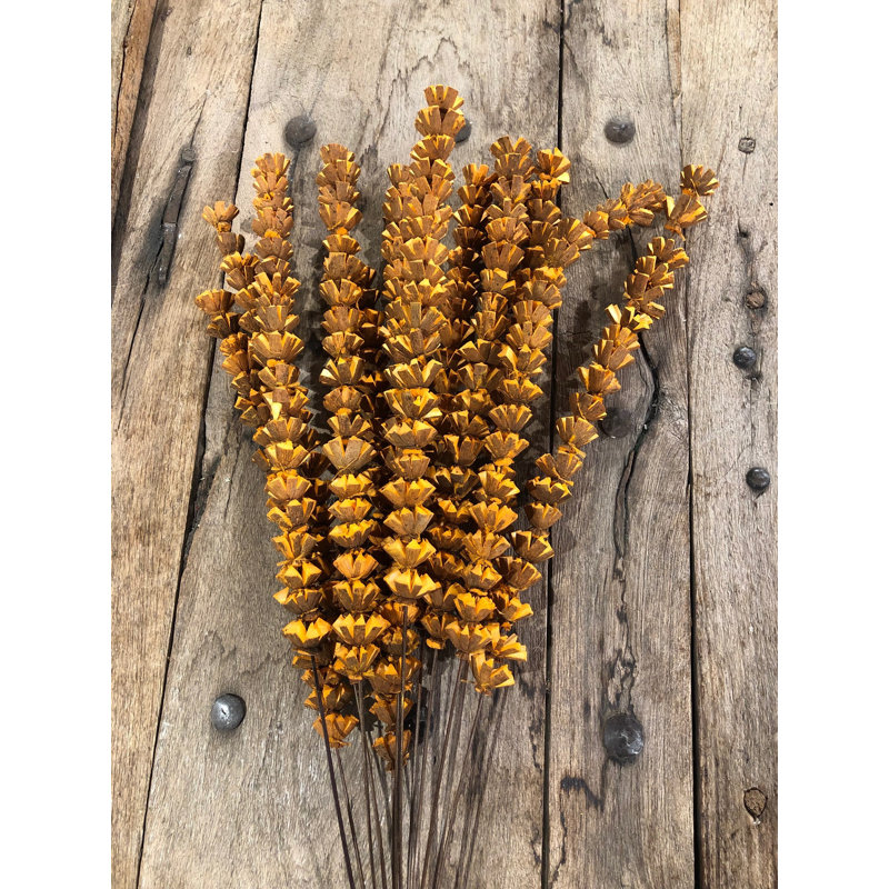 Arrangement, Tangerine/Carmel