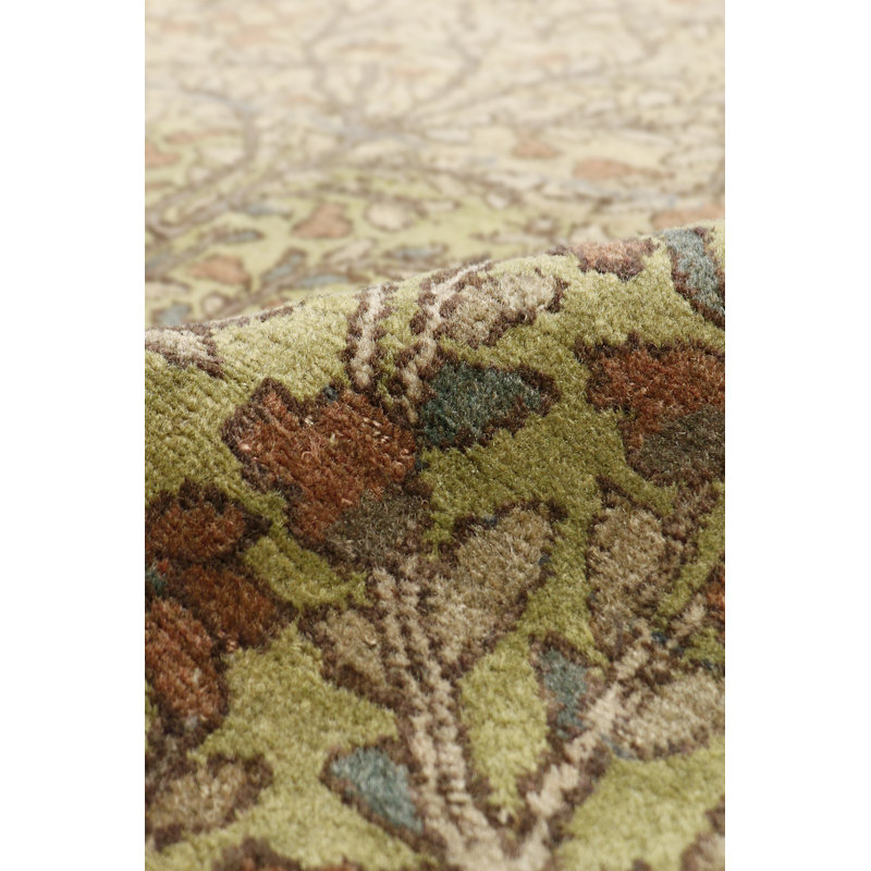 Agra Hand Knotted Wool Oriental Area Rug