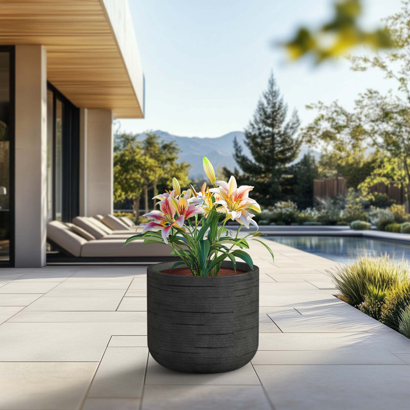 Medium (Upgraded Interior) Concrete Round Planter / Pot With Drainage Holes, 15.75" H x 17.32" W x 17.32" D