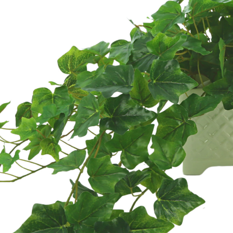Oakes Faux Ivy Plant in Ceramic Pot