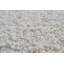 Parsegh Solid Colour Shag Area Rug-72187600