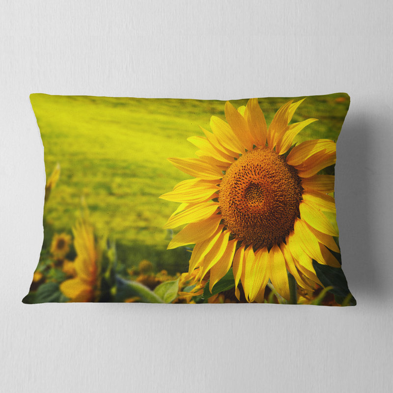 Coussin Tuscany