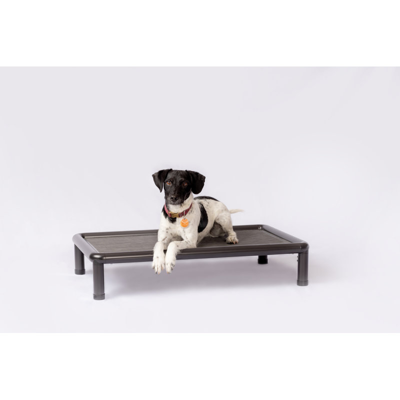 Lit pour chien Cooling, Noir/gris, H 6,75 po x l 21,5 po x P 34,5 po