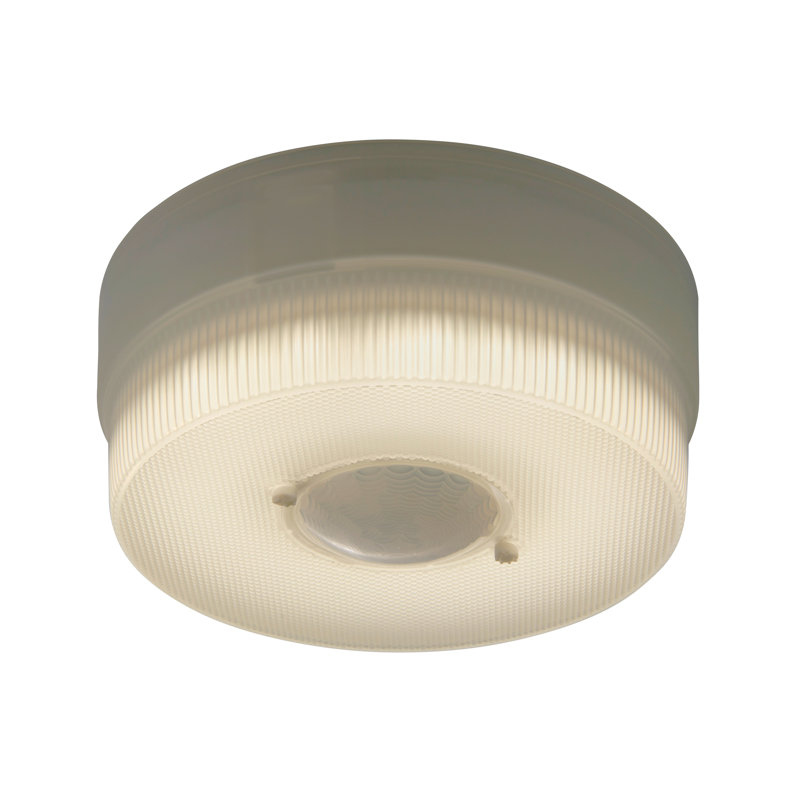 Plastic LED Flush Mount