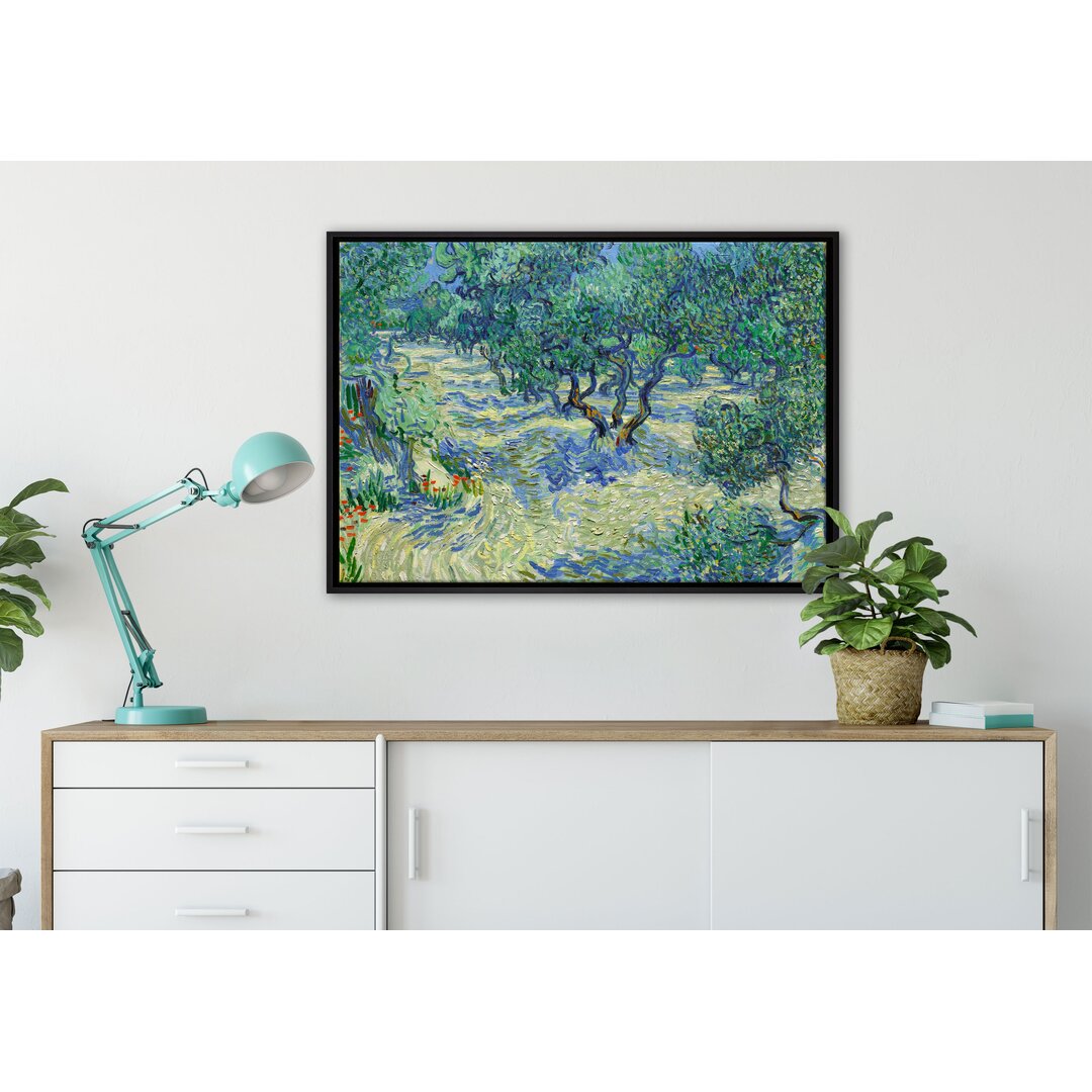 Gerahmtes Leinwandbild Kunstdruck Oliven-Feld von Vincent Van Gogh