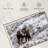 Brampt Alaskan Winter Moose-107709861
