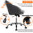 Ergonomic Desk Chair for Home and Office use-1896497974