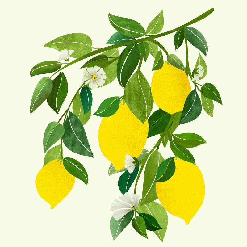 «Summer Lemons Tropical Fruit», impression sur toile tendue, L 12 po x H 12 po