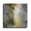  'Evergreen 2' by Design Fabrikken Metal Wall Art, 36" x 36"