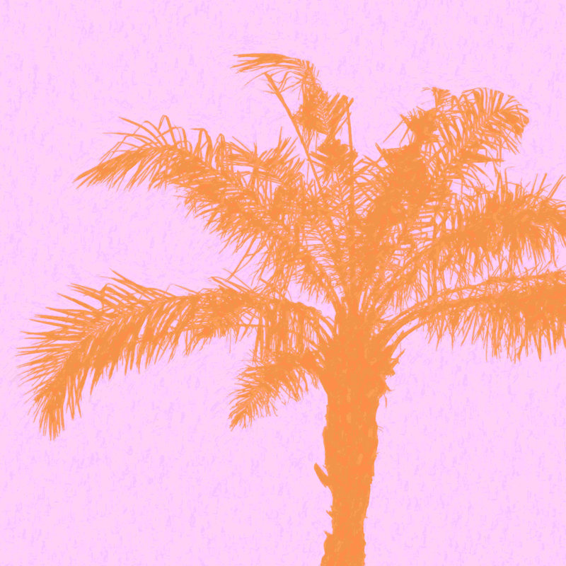 Orange Palm - Wrapped Canvas Graphic Art, 12" H x 12" W, No, Wrapped Canvas