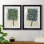 «Lemon Tree Composition I», reproduction encadrée de qualité supérieure - prête à être accrochée-1955802551-1955802552